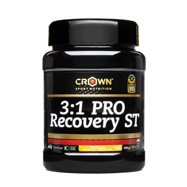 3:1 PRO Recovery ST 590g